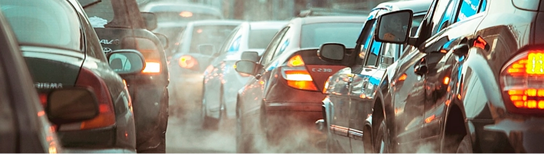 LCVM-IBAMA Lcvm Ibama