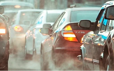 Conhecendo Mais Sobre a Solicitação do IBAMA Durante a Homologação Veicular